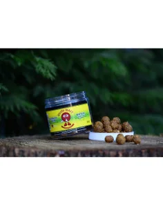 Dudi Bait Tigernuts - Amur 12+14mm Wafter Hook Bait 4x World Winner-Köder-JJ-Fishing