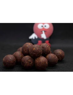 Dudi Bait Mister Dudi 24mm Hard Boilies 1000g Prämium Boilies 4x World Winner-Boilies-JJ-Fishing 2