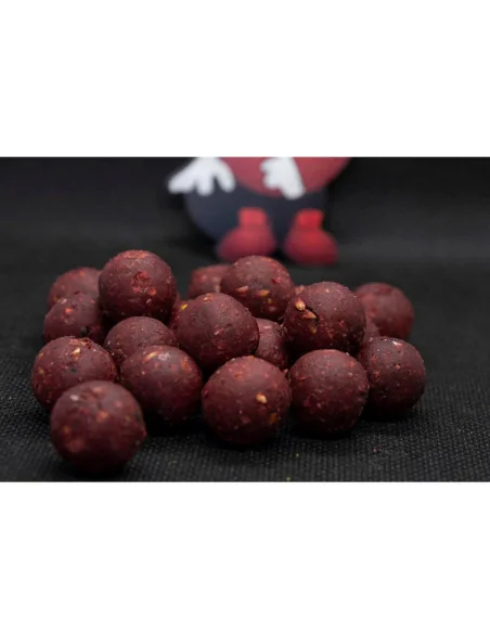 Dudi Bait Forest Squid 16mm Hard Boilies 1000g Prämium Boilies 4x World Winner-Boilies-JJ-Fishing