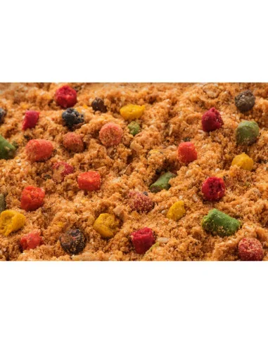 Mivardi R1 CARP Mango Groundbait Competition 1000g Edition Wettkampf Staubfutter Grundfutter-Köder-JJ-Fishing