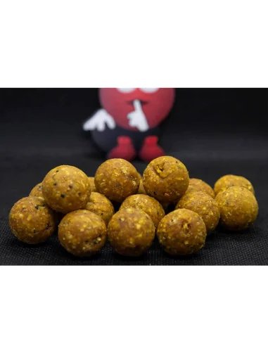 Dudi Bait Tigernuts - Amur 16mm Hard Boilies 1000g Prämium Boilies 4x World Winner