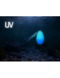 Delphin ARCH 20g PERCHY UV Active Spinner Größe 5 Long Cast Hecht Wels Raubfisch Köder 2