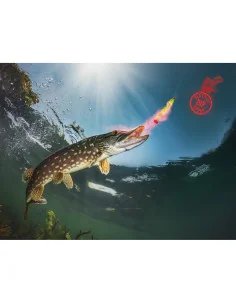 Delphin STINX SPRAY Auster Muschel Rot 30ml Dipp-Spray Raubfisch Köder-Dip´s-JJ-Fishing 2