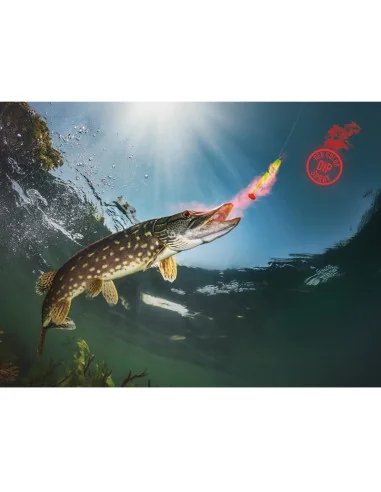 Delphin STINX SPRAY Auster Muschel Rot 30ml Dipp-Spray Raubfisch Köder-Dip´s-JJ-Fishing