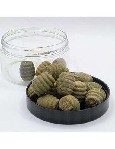 BSA The Wafter's GLM 16mm Grub Edition 40g Balance Bait Service Austria