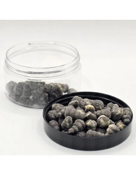 BSA The Wafter's Bloodoworm 10mm Snail Edition 20g Method Feeder Black Balance Bait Service Austria
