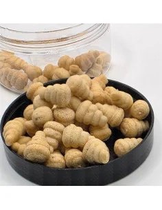 BSA The Wafter's Coconut 10mm Snail Edition White 20g Method Feeder Balance Bait Service Austria 2