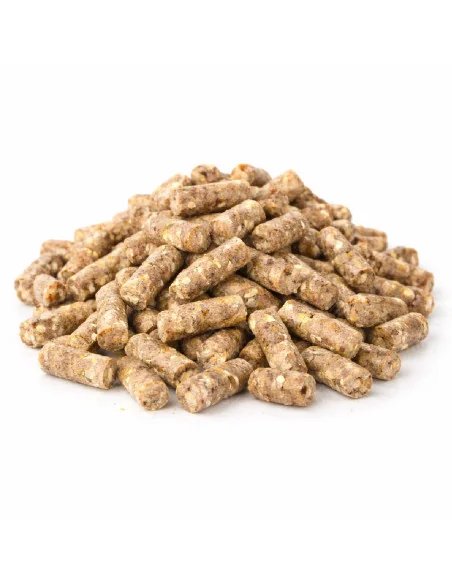 BSA Partikel Bomb Pellets 7Kg Mix fertig zum Füttern Baitservice Austria-Pellets-JJ-Fishing