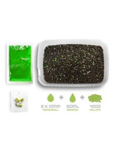 Delphin Reaxe Knoblauch & N-Butyric Acid READY&GO 400g Pellet Box mit Liquid und Wafter 2