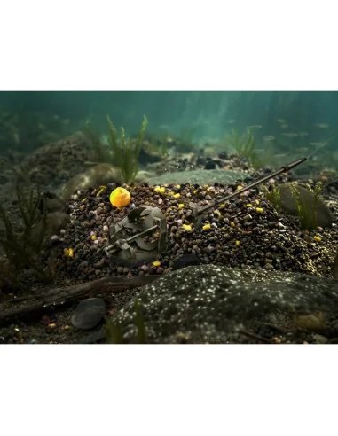 Delphin Reaxe Sweet Corn & Pineapple READY&GO 400g Pellet Box mit Liquid und Wafter-Wafters-JJ-Fishing