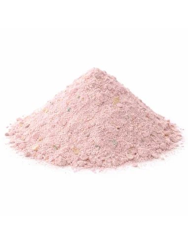 BSA Special Groundbait Hot Fruttela 3Kg Staubfutter Stick Mix Method Feeder Baitservice Austria-Groundbait & Partikelfutter-J...