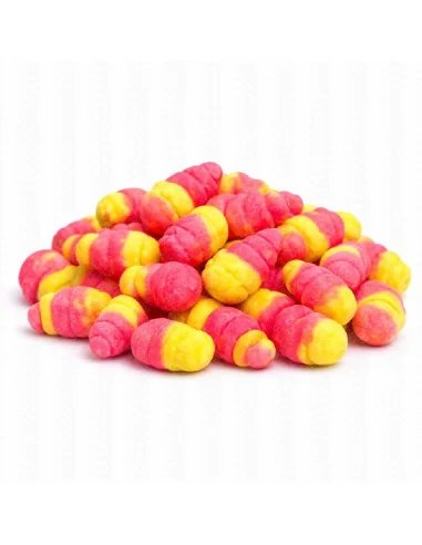 BSA The Wafter's Himbeere & Zitrone 10mm Snail Edition Green 20g Method Feeder Balance Baitservice Austria