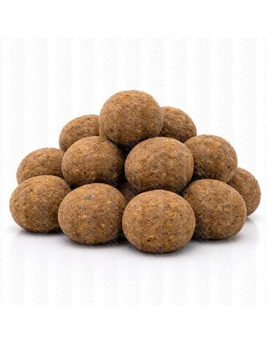 BSA The Wafter's Black Mamba 20mm Balance Baits Baitservice Austria-Köder-JJ-Fishing