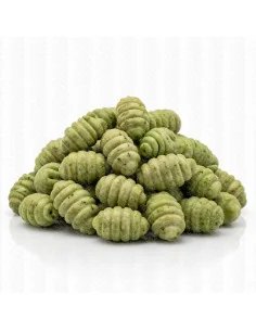 BSA The Wafter's GLM 10mm Snail Edition Green 20g Method Feeder Balance Bait Service Austria 2