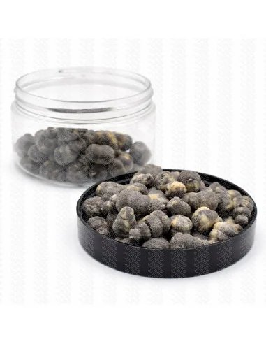 BSA The Wafter's Bloodoworm 10mm Snail Edition 20g Method Feeder Black Balance Baitservice Austria-Köder-JJ-Fishing