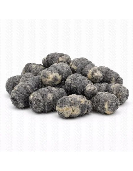 BSA The Wafter's Bloodoworm 10mm Snail Edition 20g Method Feeder Black Balance Baitservice Austria-Köder-JJ-Fishing