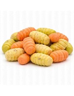 BSA The Pop Up's Peach & Melba 16mm Grub Edition 40g Balance Baitservice Austria-Köder-JJ-Fishing 2