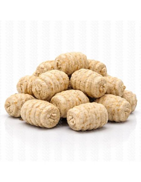 BSA The Wafter's Coconut 16mm Grub Edition 40g Balance Baitservice Austria-Köder-JJ-Fishing