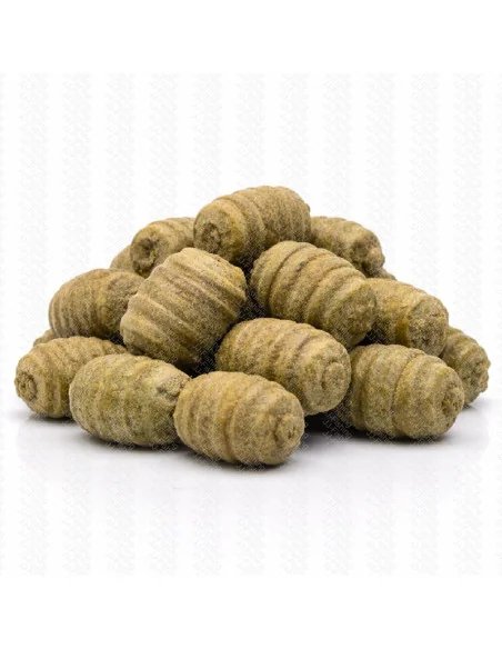 BSA The Wafter's GLM 16mm Grub Edition 40g Balance Baitservice Austria-Köder-JJ-Fishing