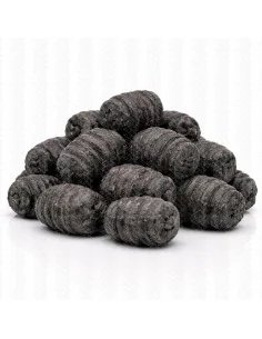 BSA The Wafter's  Bloodworm 16mm Grub Edition 40g Balance Bait Service Austria 2