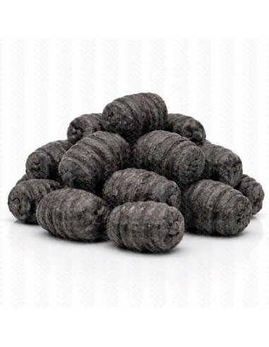BSA The Wafter's Bloodworm 16mm Grub Edition 40g Balance Baitservice Austria-Köder-JJ-Fishing