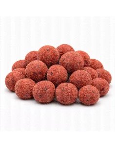 Pop Up’s Red Mamba - Baitservice Austria 2