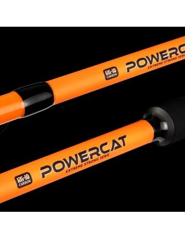 Nevis PowerCat 300cm 300-500g Power Wels Angelrute Catfish Rod-Welsruten-JJ-Fishing