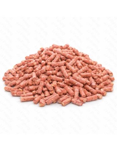 BSA Squidpellets 10Kg Sweet Corn Pellet Futterpellets Baitservice Austria-Pellets-JJ-Fishing