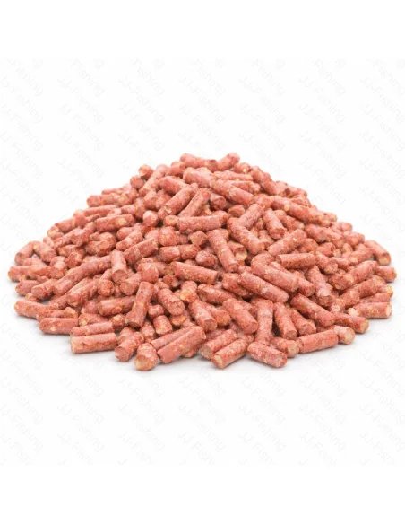 BSA Squidpellets 10Kg Sweet Corn Pellet Futterpellets Baitservice Austria-Pellets-JJ-Fishing