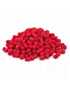 Dudi Bait Feeder Red Fruits Smoke Wafters 6+8 mm Dumbell Method Feeder 40g 4x World Winner-Köder-JJ-Fishing 2