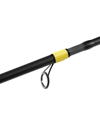 Delphin SIXTY Reise Angelrute 280cm 100g 5 Teilig Spinnrute Grundrute Reisekoffer Rute-Ruten-JJ-Fishing