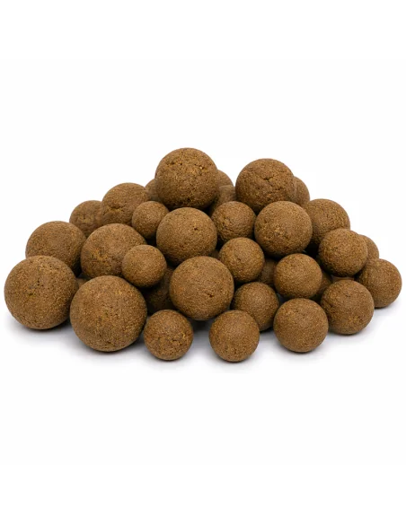 BSA River Range Wafter 24 & 30mm Hookbaits Baitservice Austria-Köder-JJ-Fishing