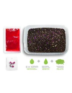 Delphin Reaxe Mulberry & Plum READY&GO 400g Pellet Box mit Liquid und Wafter-Wafters-JJ-Fishing 2