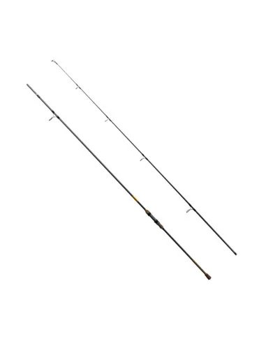Delphin SYMBOL Carper 300cm 3,00lbs 10Ft Karpfen Angelrute Long Cast-Karpfenruten-JJ-Fishing