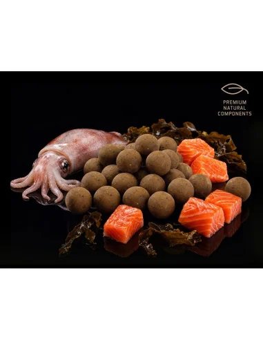 Delphin BreaX SeaKER 20mm Squid - Lachs 300g Prämium Hook Baits Boilies-Köder-JJ-Fishing