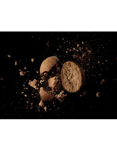 Delphin BreaX SeaKER 20mm Squid - Lachs 300g Prämium Hook Baits Boilies-Köder-JJ-Fishing