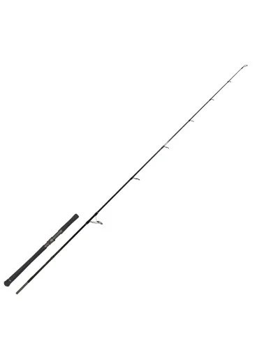 Zeck Cat Evo Cat Spin 217cm 100g Wels Spinnrute Raubfischrute Prämium-Spinnruten-JJ-Fishing