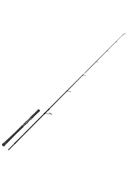 Zeck Cat Evo Cat Spin 217cm 100g Wels Spinnrute Raubfischrute Prämium-Spinnruten-JJ-Fishing