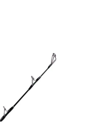 Zeck Cat Evo Cat Vertic 190cm 180g Vertical Wels Angelrute Spinnrute Prämium-Spinnruten-JJ-Fishing