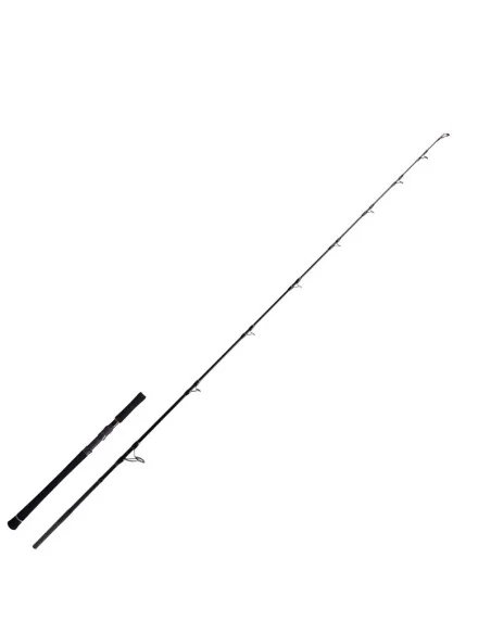 Zeck Cat Evo Cat Vertic 190cm 180g Vertical Wels Angelrute Spinnrute Prämium-Spinnruten-JJ-Fishing