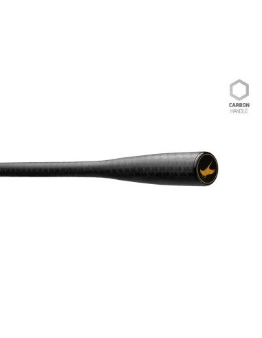 Delphin StingRAY 10Ft 300cm 3.0lbs 2 Teile Profi Carbon Karpfen Angelrute Long Distance-Tackle & Co-JJ-Fishing