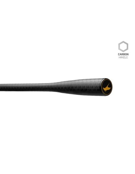 Delphin StingRAY 10Ft 300cm 3.0lbs 2 Teile Profi Carbon Karpfen Angelrute Long Distance-Tackle & Co-JJ-Fishing
