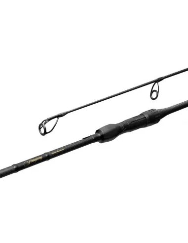 Delphin StingRAY 10Ft 300cm 3.0lbs 2 Teile Profi Carbon Karpfen Angelrute Long Distance-Tackle & Co-JJ-Fishing