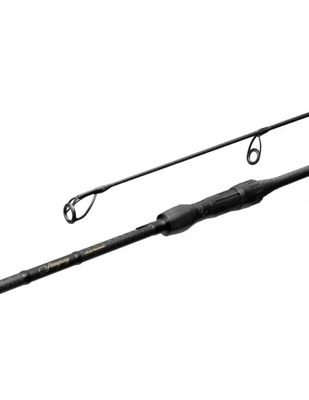 Delphin StingRAY 10Ft 300cm 3.0lbs 2 Teile Profi Carbon Karpfen Angelrute Long Distance-Tackle & Co-JJ-Fishing