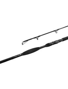 Delphin Symbol Cat 285cm 500g WG Welsrute-Welsruten-JJ-Fishing 2