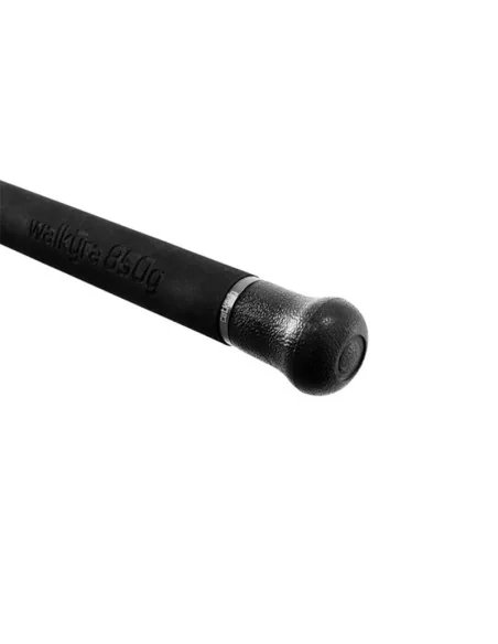 Catkong Walkyra Welsrute 300cm 10ft 850g-Ruten-JJ-Fishing
