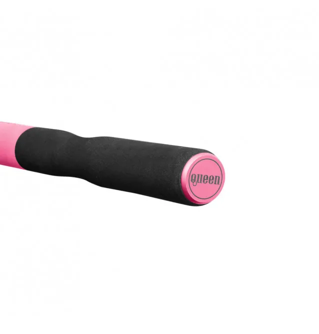 Delphin Queen Feeder 13ft 390cm 100g 3 Spitzen Feederrute-Feeder- & Method Feeder Ruten-JJ-Fishing