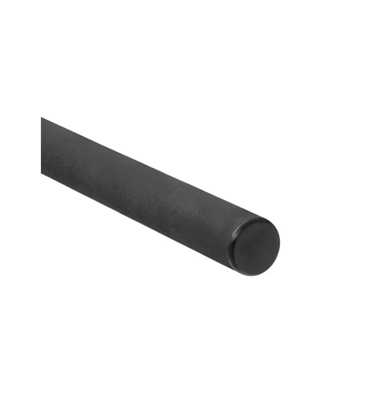 Delphin Partisan Carbon Handle 180cm 2-teilig Kescherstab-Kescher & Kescherzubehör-JJ-Fishing