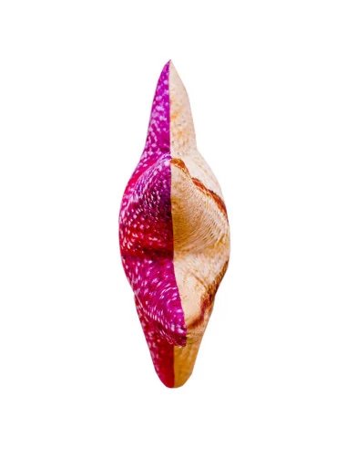 Gaby fish cushion Big Starfish 50cm, plush fish, stuffed animal-Big Fish-JJ-Fishing