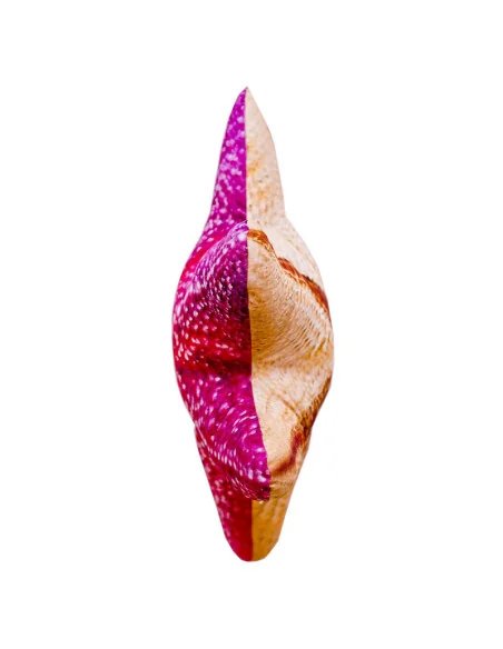 Gaby fish cushion Big Starfish 50cm, plush fish, stuffed animal-Big Fish-JJ-Fishing